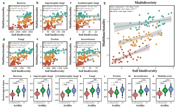 图片1(1).png