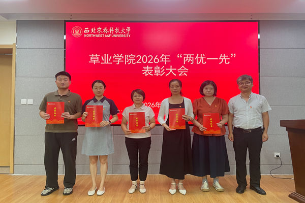 学院党委委员、副院长何树斌为优秀党务工作者颁奖.jpg