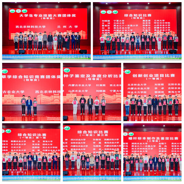 光影魔术手拼图.jpg