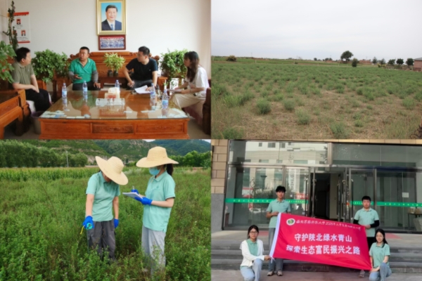 default (1).jpg