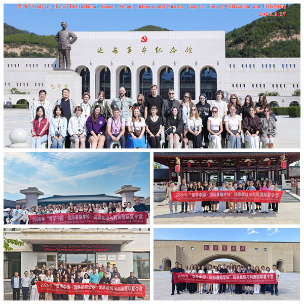 光影魔术手拼图.jpg